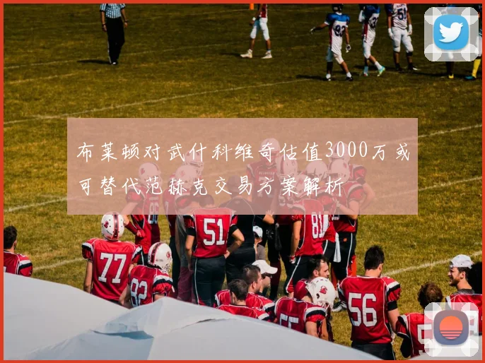 布莱顿对武什科维奇估值3000万或可替代范赫克交易方案解析